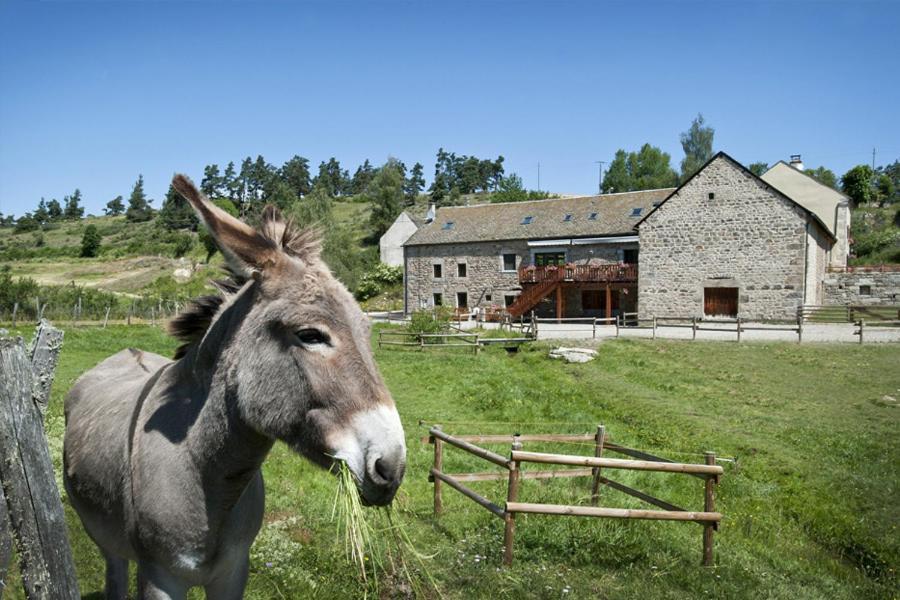 Logis Hotels Les Granges De Bigose Rimeize Exterior foto